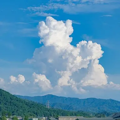 Profile image of 麦野