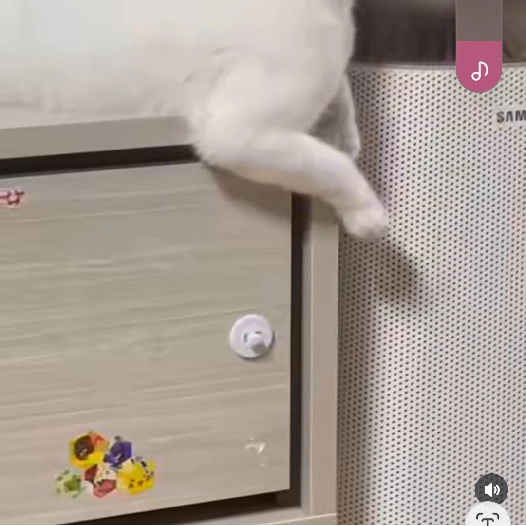 김지호