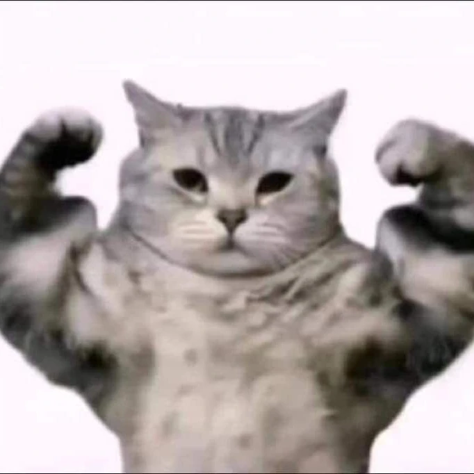 근육질 고양이
