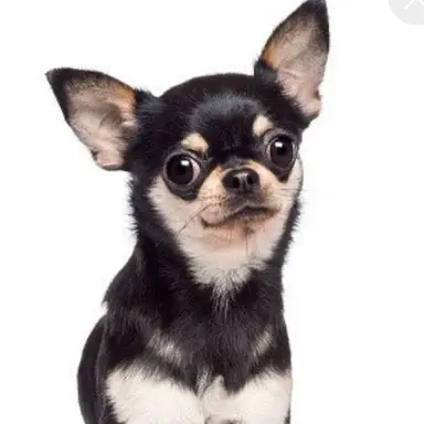 Profile image of ナギサ