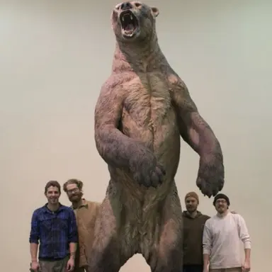 Profile image of 아르크토테리움