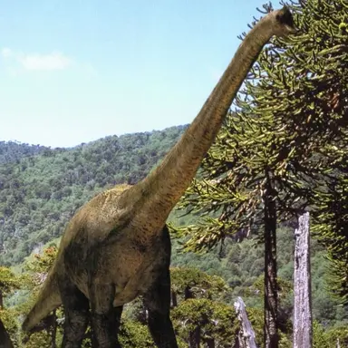 Profile image of 브라키오사우루스