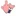 레인보우 핑크 러블리 베리 베어