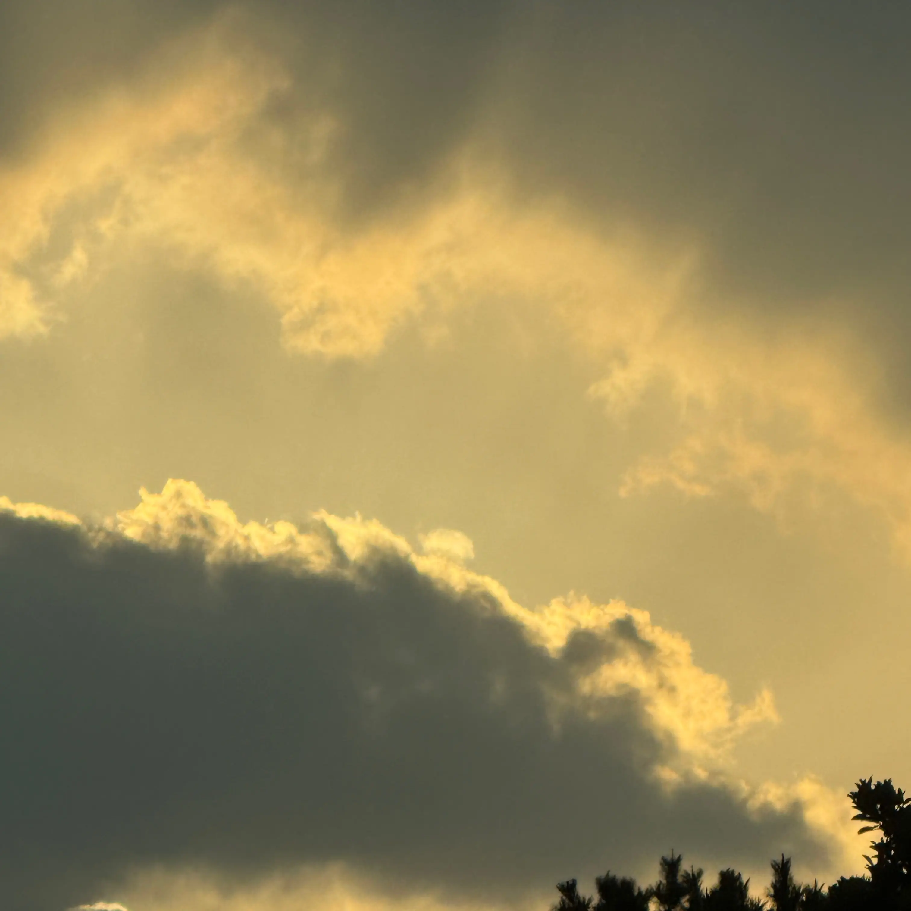 Psh0708의 잠뜰크루와 진실게임