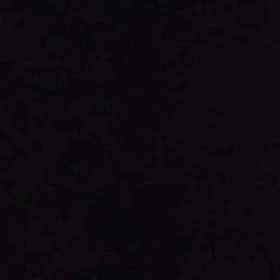 김동현