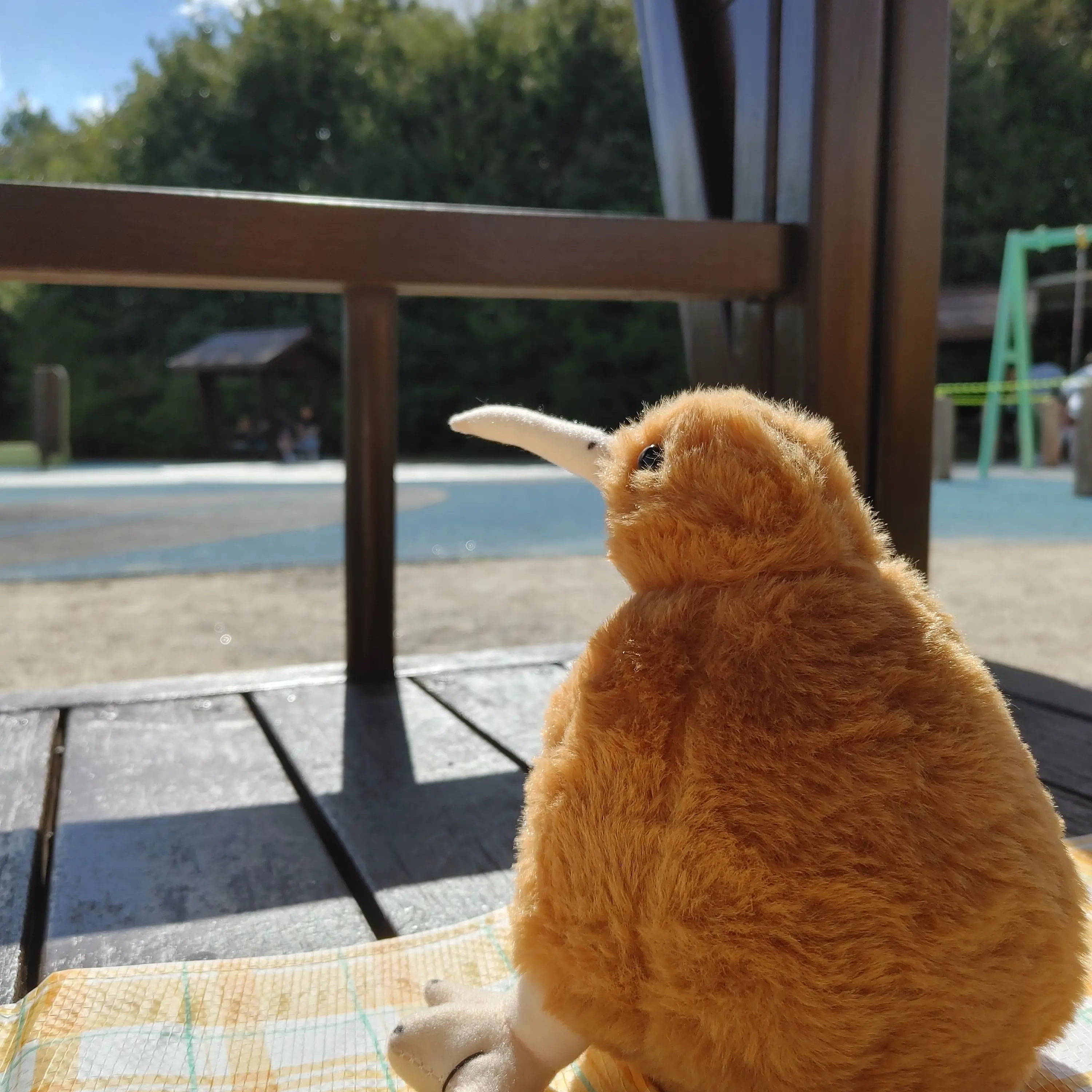 duck_1117의 🦆공지🥝