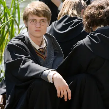 Profile image of James Potter