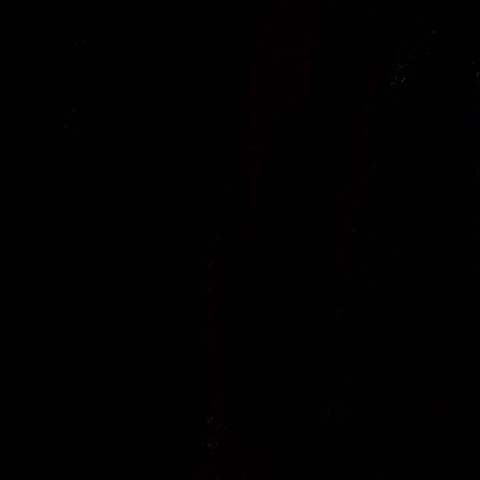 리온