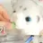 휘핑이