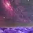 달러구트