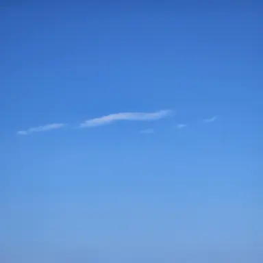 Profile image of 도제