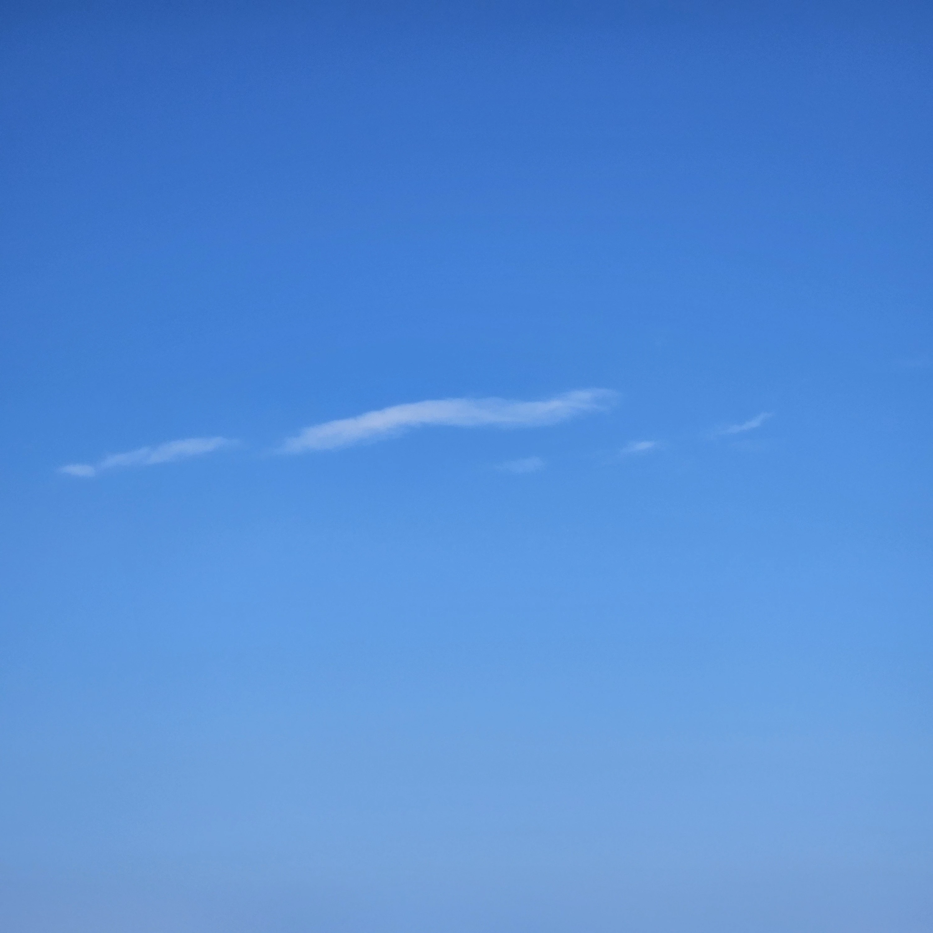 도제