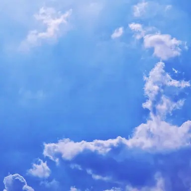 Profile image of 아가냅 코코