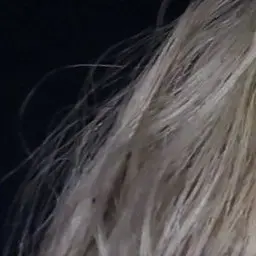 memobin의 박원빈