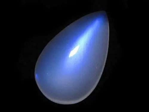 Profile image of Egg
