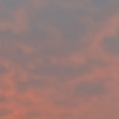 Profile image of 鴻璐