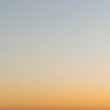 Profile image of 너불