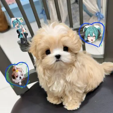 Profile image of 이유성