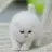 치즈
