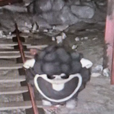 Profile image of 바바 찹스