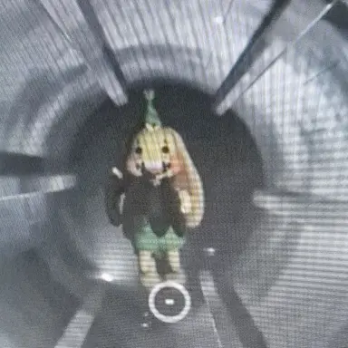 Profile image of 번조버니