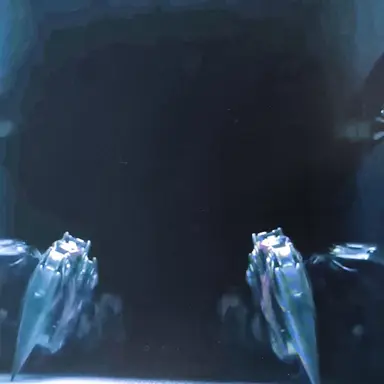 Profile image of 프로토타입