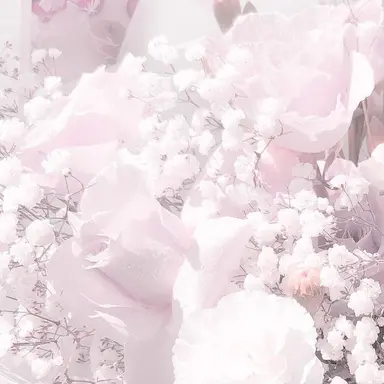 Profile image of 右京