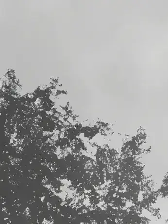 s_n_의 君 依存性 ＿ 。