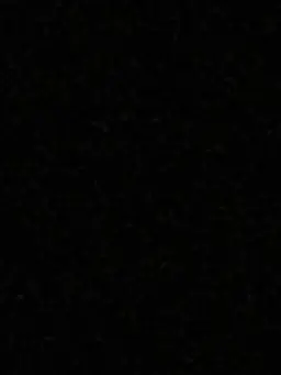 skrrrrrrrrrrrrrrrrrrrr_의 머리끈