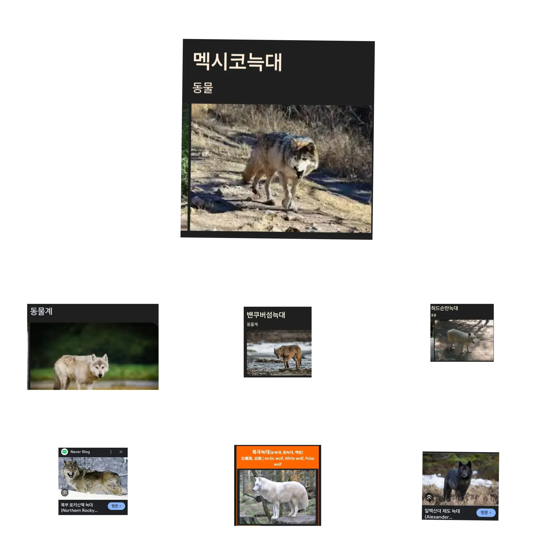 Werewolf2222의 전세계 수컷 늑대
