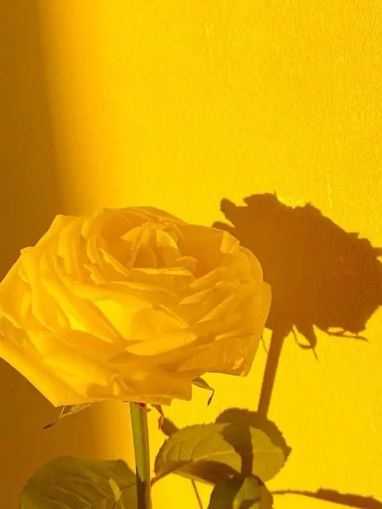 Min0130._.의 쪼만