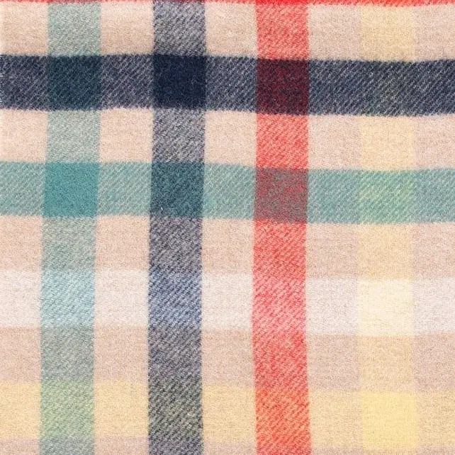 ovis_aries_128의 書けない先生