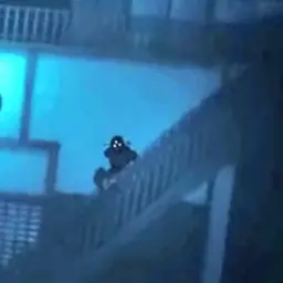 Profile image of 굣코