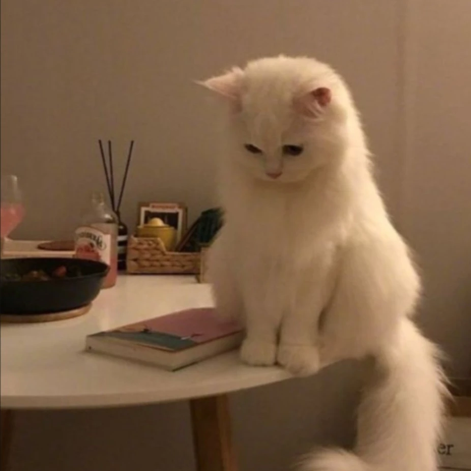 솔솔이