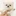 주인님