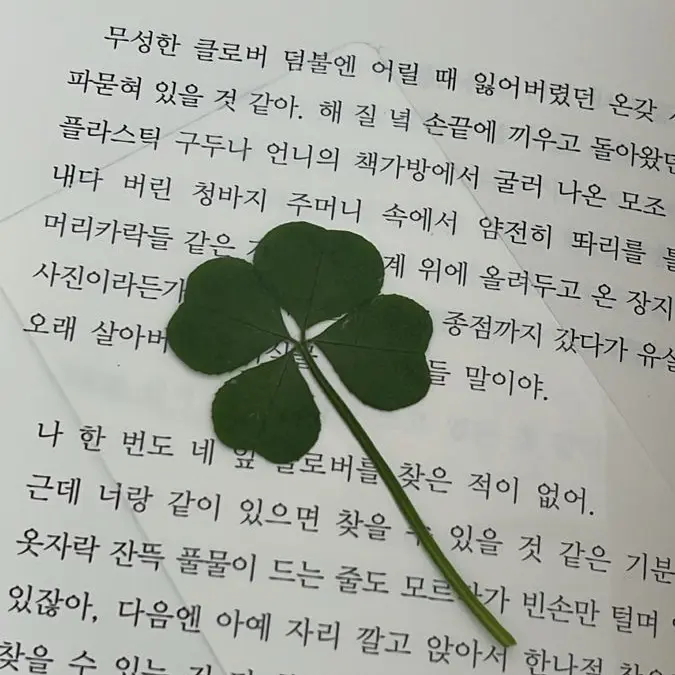BoredShelf7442의 僕がいた時間