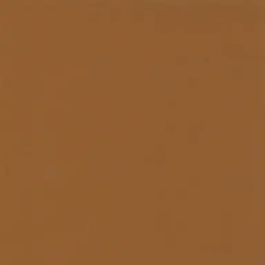 Profile image of 룩