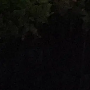 geebaby의 黑龍