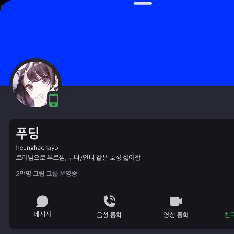 EarlyPuli1517의 롤이