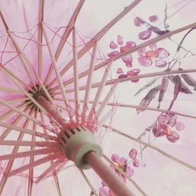 Profile image of 백도연