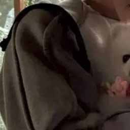 Profile image of 崔杋圭