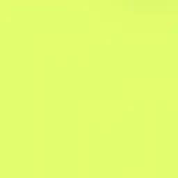 Profile image of 伊波ライ