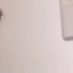 NastyMoney9839의 彼女と同棲