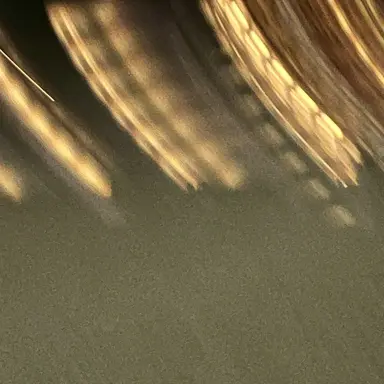 Profile image of 캐니