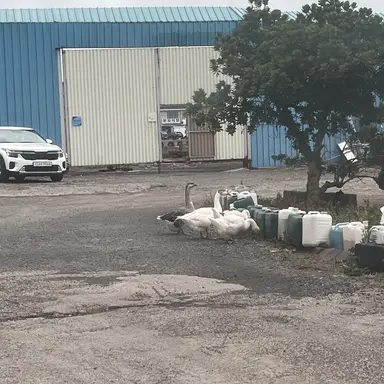 Profile image of 초깨비