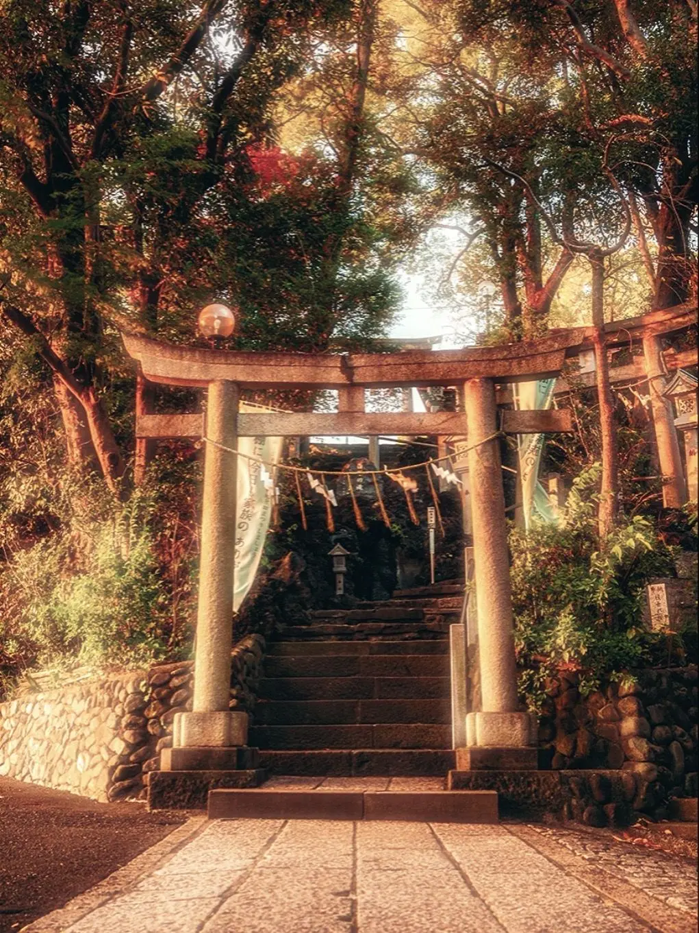 q_1__u.ko_5.의 夏風　と　、　鳥居　の　向こう側　。　—