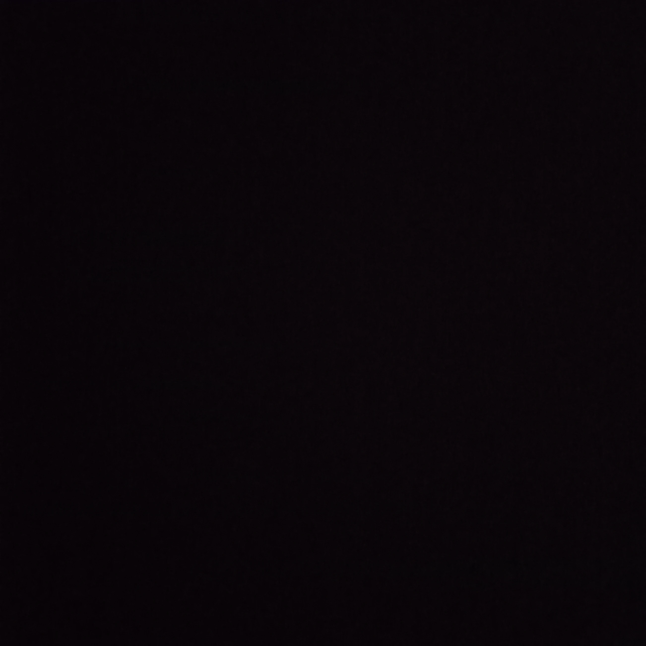 차주현