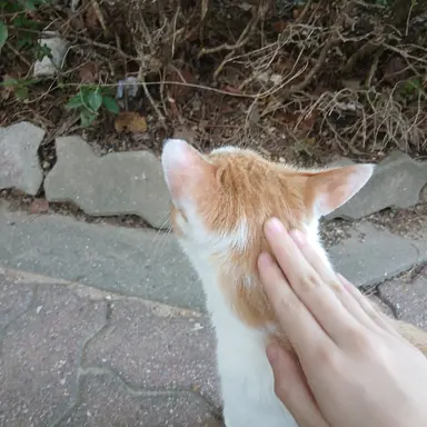 Profile image of 잭