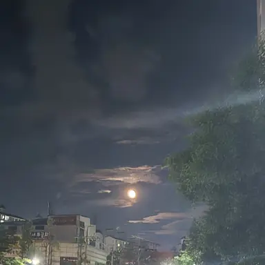 Profile image of 여우경장