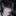 백현우